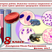 Интерактивная лабораторная работа «Выявление основных направлений эволюции клеток крови путем сравнения эритроцитов позвоночных животных».
