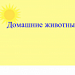 домашние животные