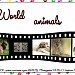 World animals