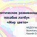 Дидактическое развивающее пособие лэпбук «Мир цвета».