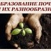 Образование почв и их разнообразие