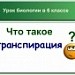 Что такое транспирация?