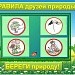 Урок окружающего мира в 1 классе по теме: «Почему мы не будем рвать цветы и ловить бабочек?» 