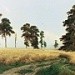 Видеоролик по стихотворению Лермонтова `Когда волнуется желтеющая нива`
