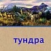 Игровые задания для уроков по теме «Природные зоны», «Тундра»