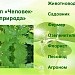 МК ПО  Итоговая работа "Профессии типа "человек-природа"