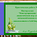 Практическая работа 1 МК "Дидактические игры урок 1 