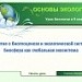Понятие о биогеоценозе и экологической системе. Биосфера как глобальная экосистема
