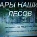 Ознакомление с окружающим "Дары наших лесов"