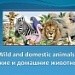 Wild and Domestic Animals