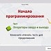 Проверочная работа  по теме "Организация ввода и вывода данных". 