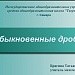 Обыкновенные дроби