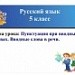 Пунктуация в предложениях с вводными словами. Вводные слова в речи