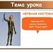 Презентация Noteвook  "Нервная система"