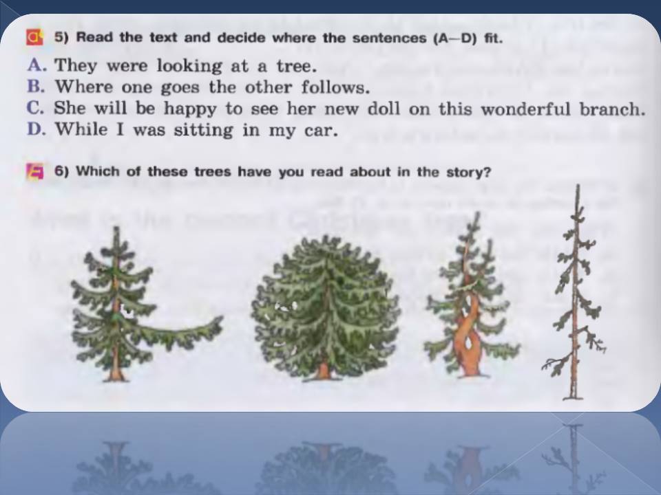 Reading lesson. What is the perfect tree?