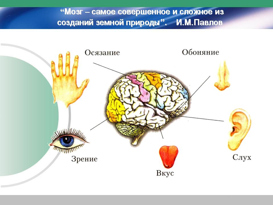 Мир ощущений