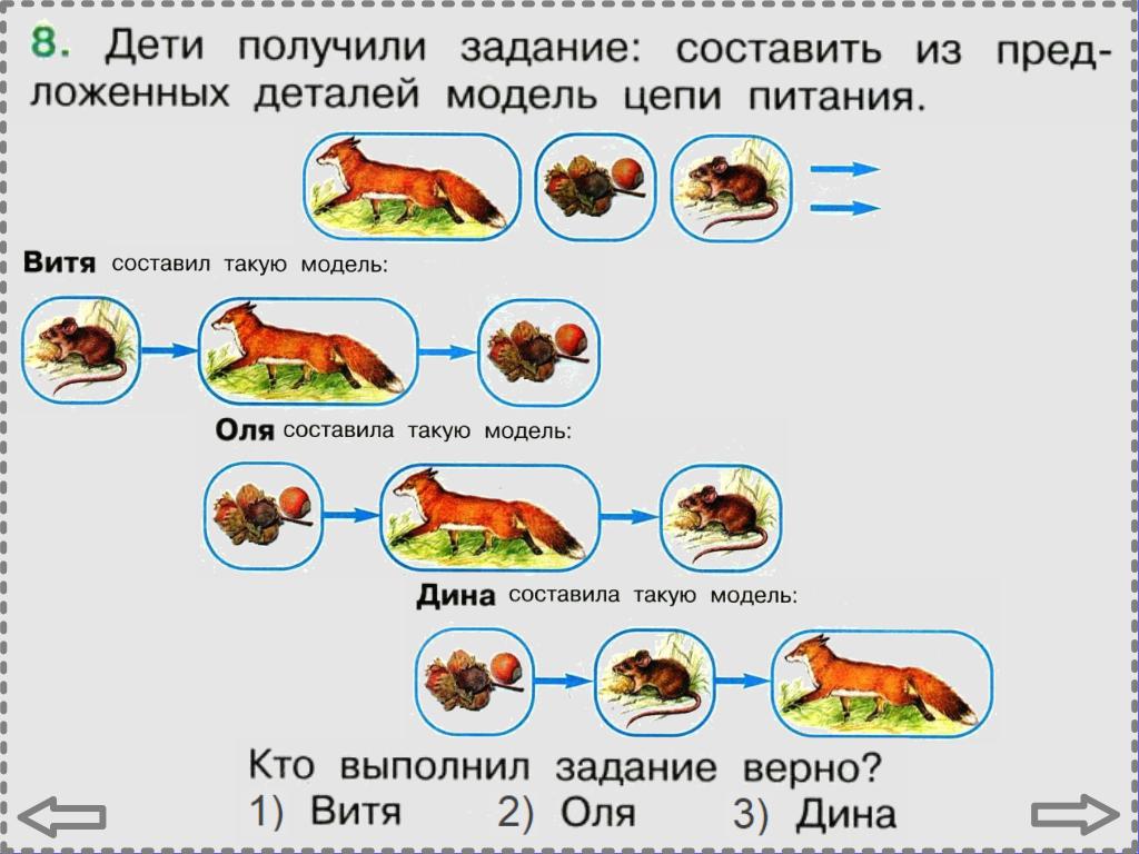 Эта удивительная природа проверочная работа 3