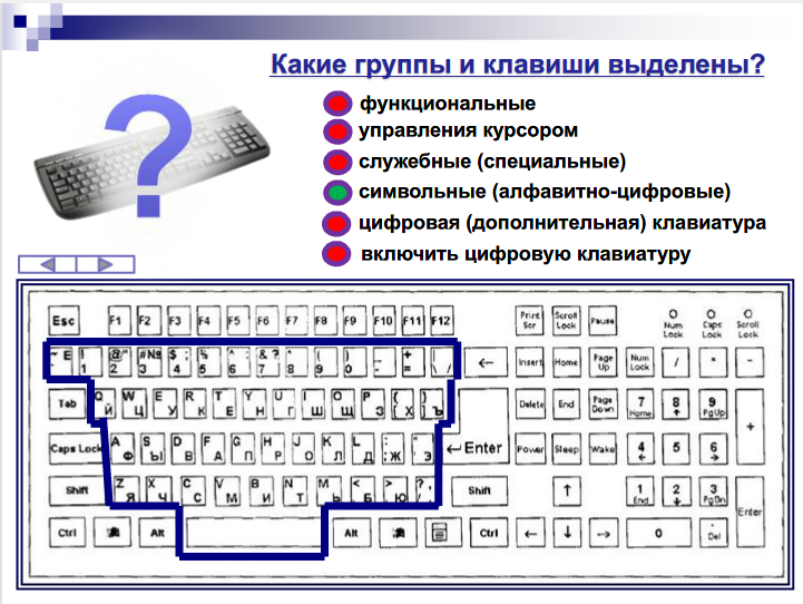 Ввод символов в строку. Группы клавиш функциональные специальные символьные. Какие группы клавиш можно выделить на клавиатуре.