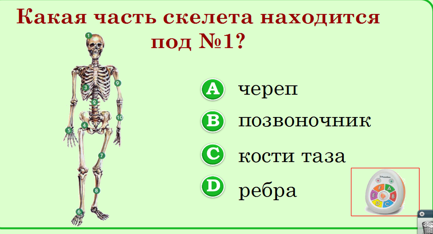 Кто разработал тест нарисуй человека